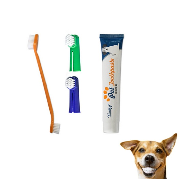 Jual Dental Kit Cat Dog Toothbrush Set With Toothpaste Finger Brush Pet Jakarta Barat Amazing Store Id Tokopedia