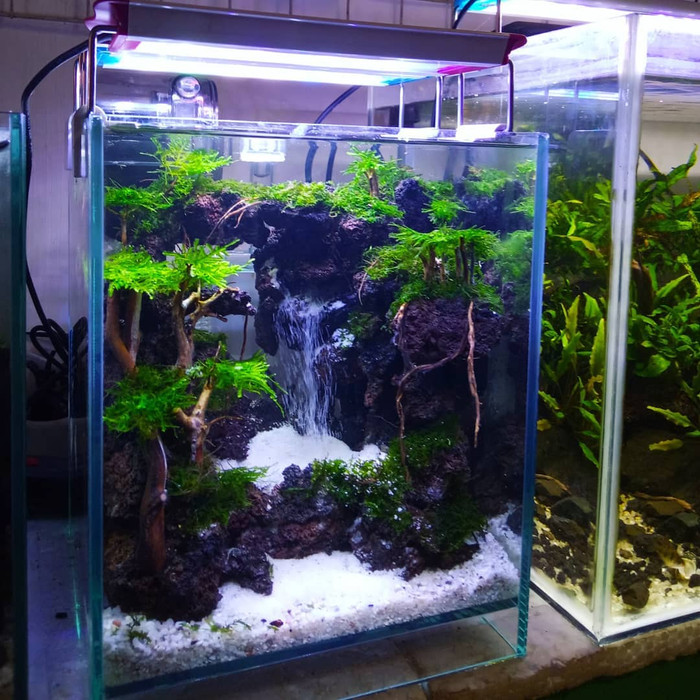 Jual Aquascape design waterfall(air terjun)/nature/Dutcn style (nano