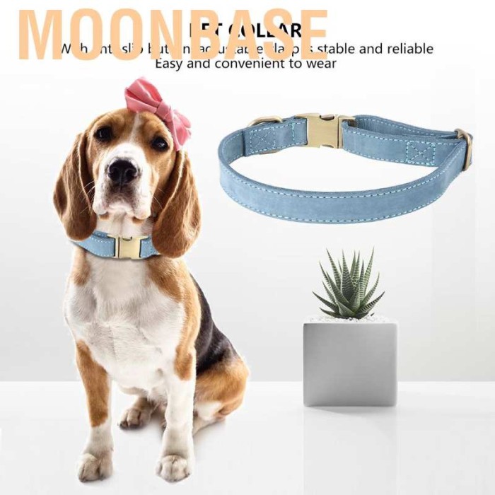 anti slip dog collar