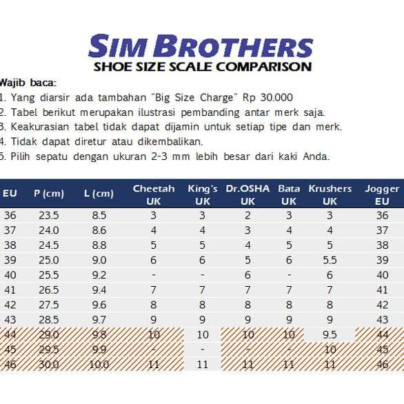 shoe size 38 to cm