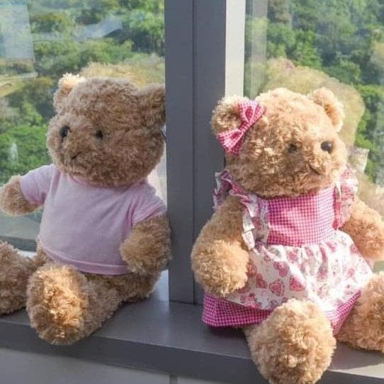 harga teddy house