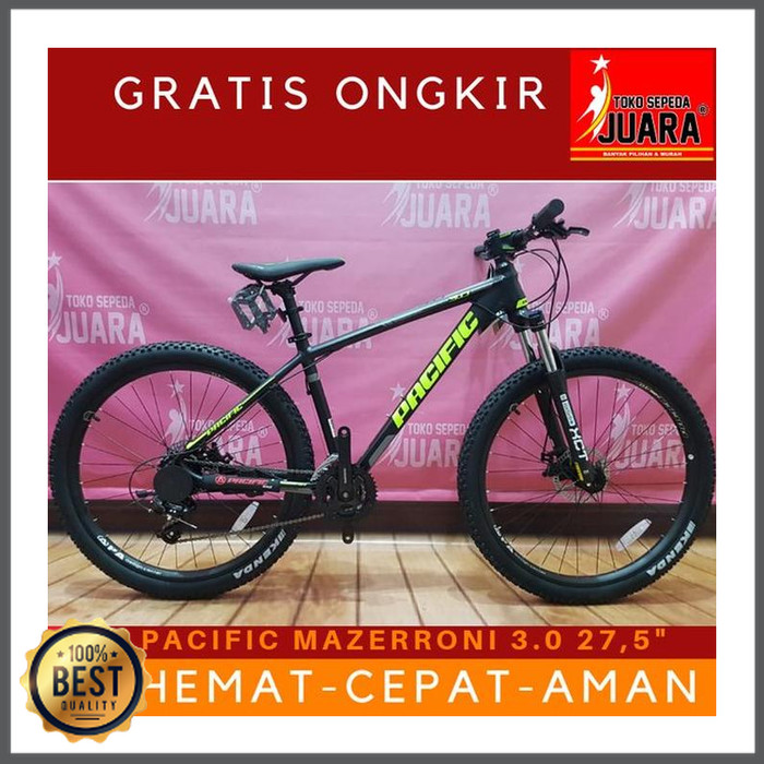 pacific masseroni 3.0