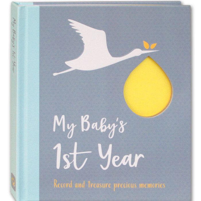 baby 1st year book