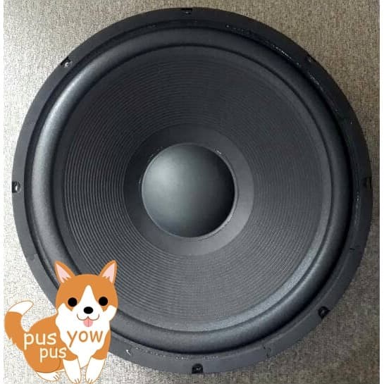 speaker 15 woofer