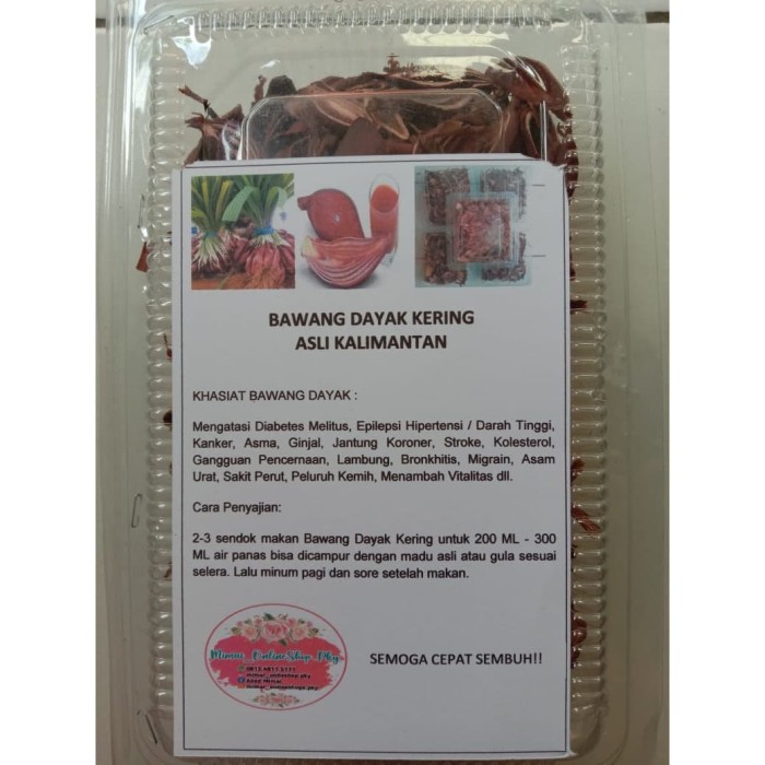 Manfaat Bawang Dayak Untuk Diabetes