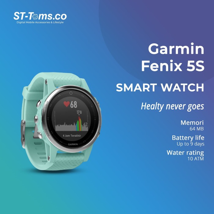 garmin fenix 5s blue