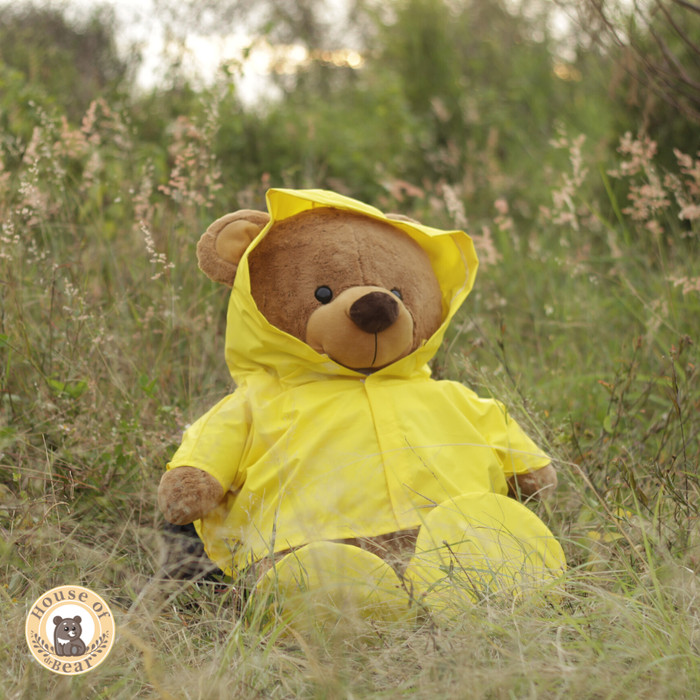 teddy bear in yellow raincoat