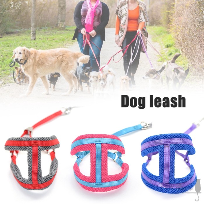 rope harness leash