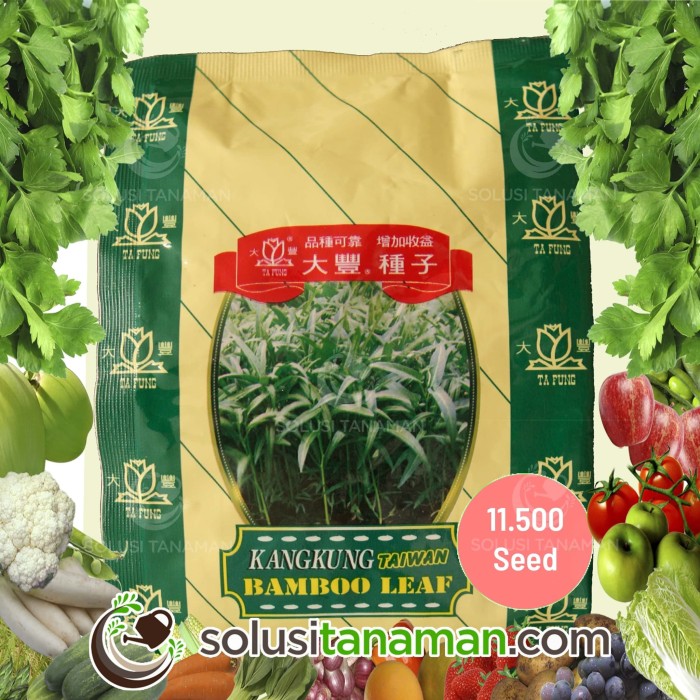 Jual Benih Kangkung Bambu 500g Biji Bibit Tanaman  Sayur 