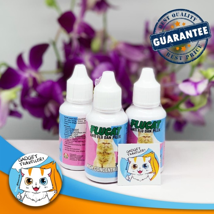 Flucat Kucing Obat