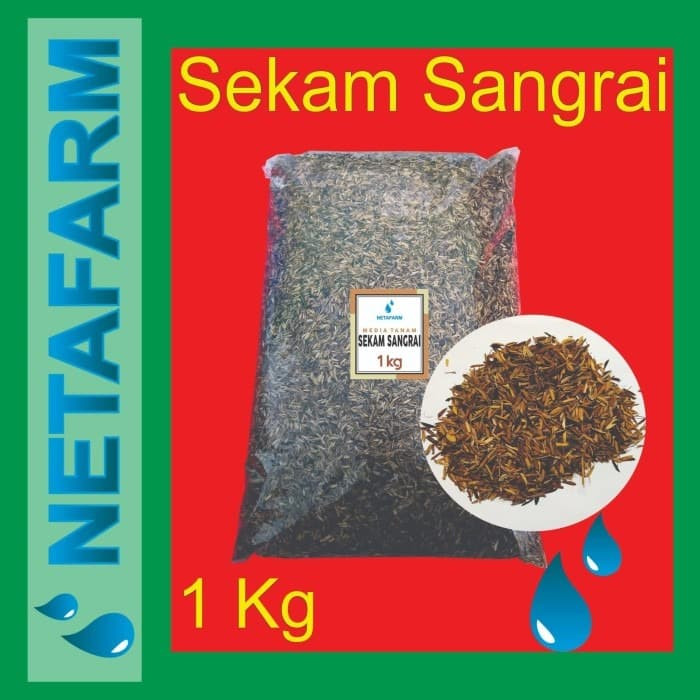 Jual Media Tanam Sekam Sangrai kemasan 1kg Kota 