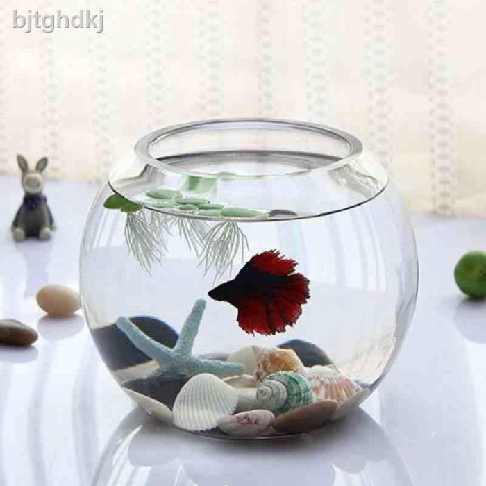 Jual aquarium akuarium toples vas  fish bowl bulat  kaca  W  Jual aquarium akuarium toples vas  fish bowl bulat  kaca  W