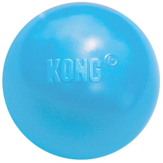 kong puppy s