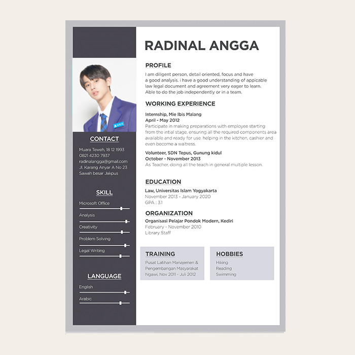 Jual Jasa Design Pembuatan Resume / CV Creative lamar Kerja - DARK