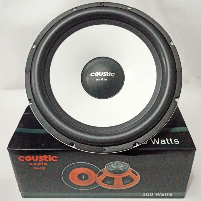 coustic 12 inch subwoofer