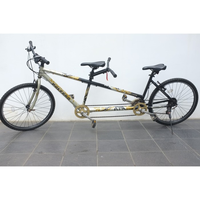 polygon tandem bike