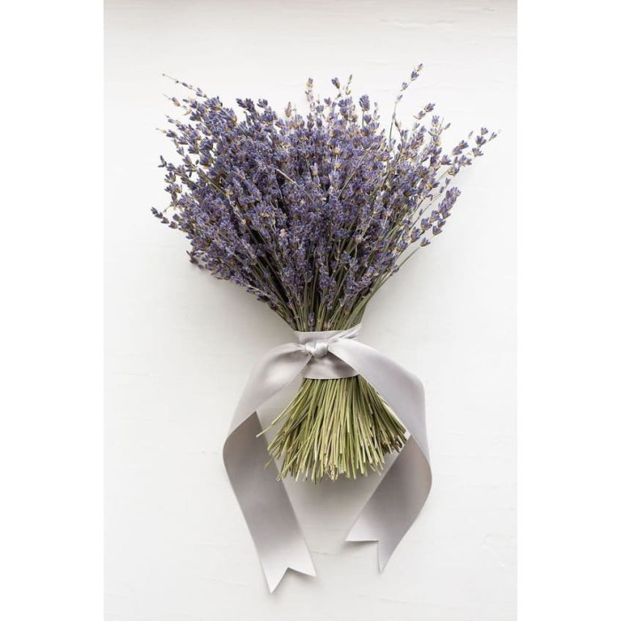 Jual Bunga  Kering  Lavender Ungu Asli Dried Flower Purple 