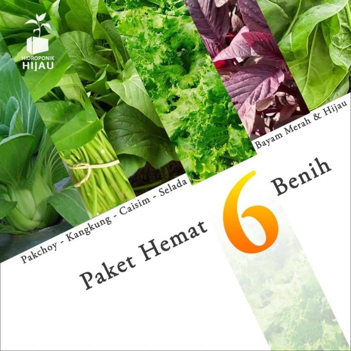 Jual Paket Hemat Benih Eceran 6 Jenis Sayuran Bonus 2pc ...