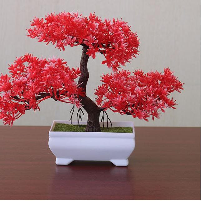 Jual Bunga Bonsai Awan Pattaya Bunga Hias Ruang Tamu Kamar Ruang Meja Hias Merah Kota Bekasi Hendraa Comp Tokopedia
