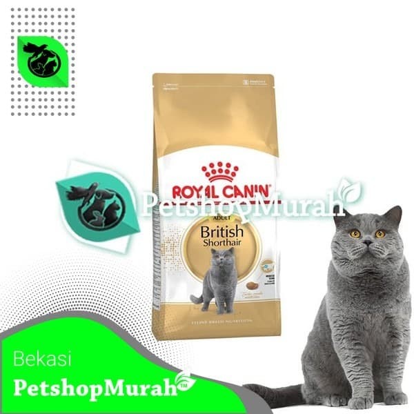 Jual Makanan Kucing Royal Canin British Shorthair Adult ...