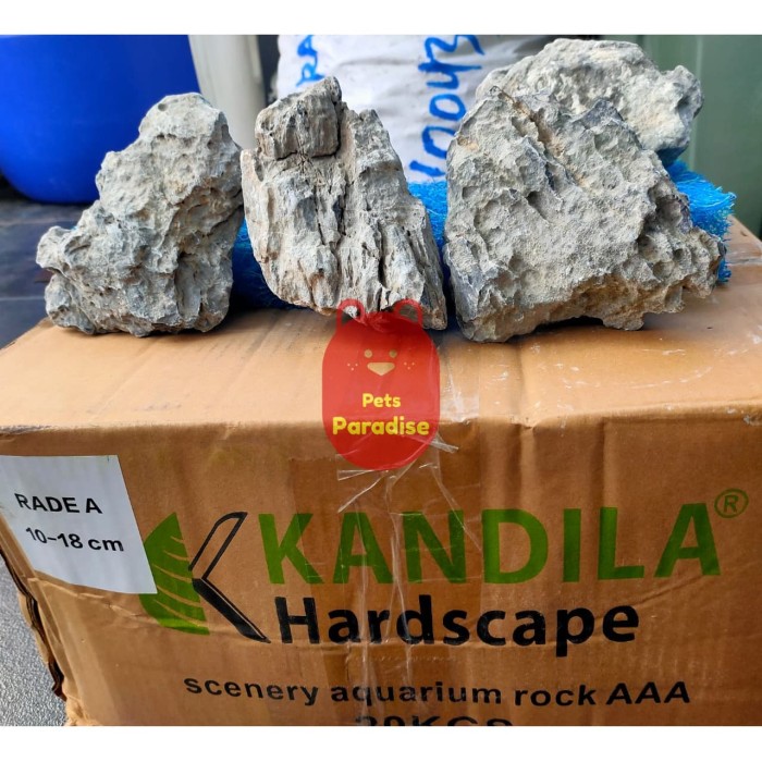 Jual BATU SEIRYU IMPORT GRADE A AQUASCAPE Jakarta 