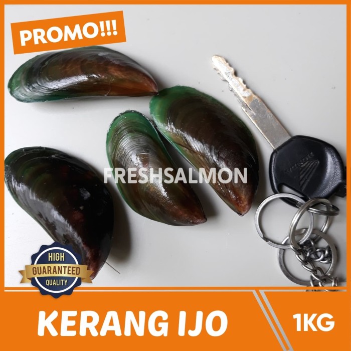 Mengolah Kijing Besar Air Tawar / Tips Menyimpan Kerang ...