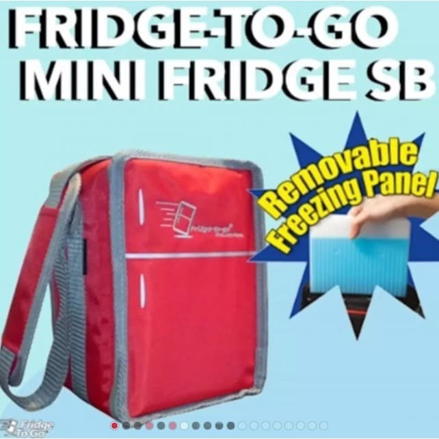 fridge to go mini fridge