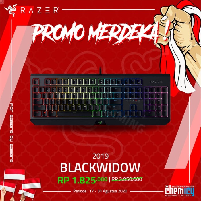 Jual Razer BlackWidow 2019 RGB Fullsize Mechanical Gaming