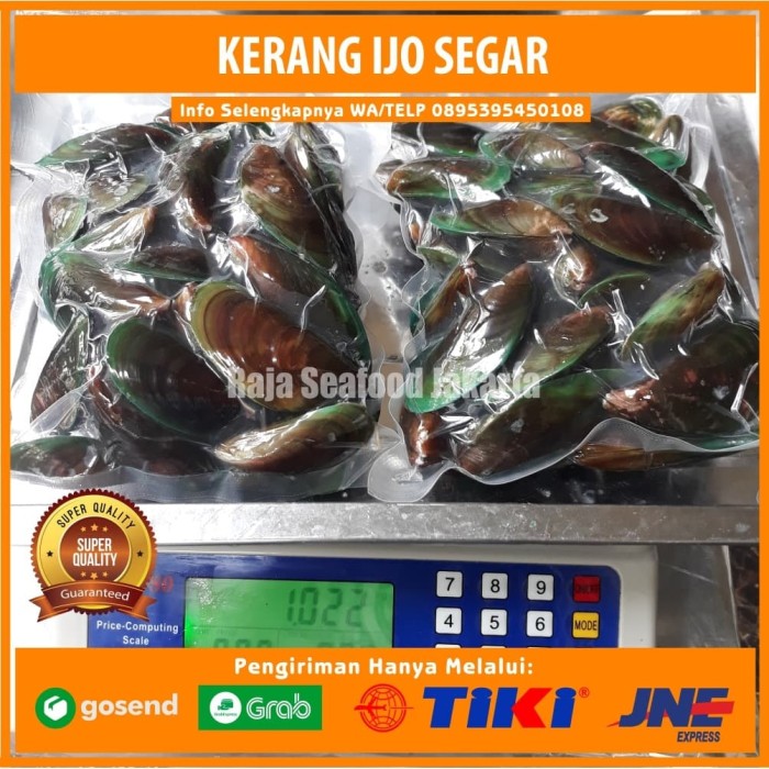 Jual Kerang Ijo 500 Gr Kerang Hijau Kijing Kerang Hijau Promo Jakarta Utara Raja Seafood Jakarta Tokopedia