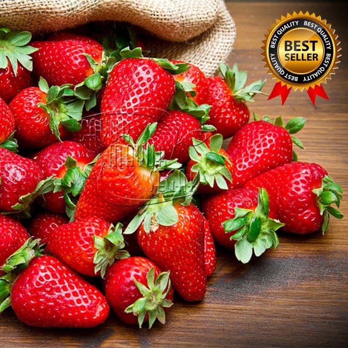 Jual Strawberry Premium buah Fresh dan manis (Grosir ...