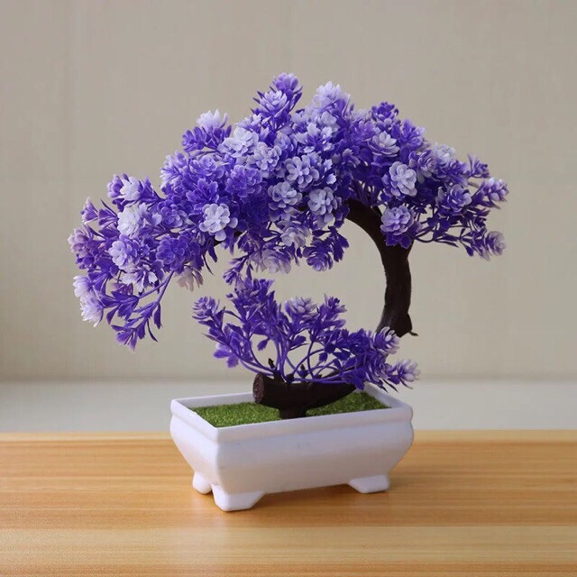  Jual  Bunga Bonsai  Bulat Kab Tangerang  Bunga Hias Official 