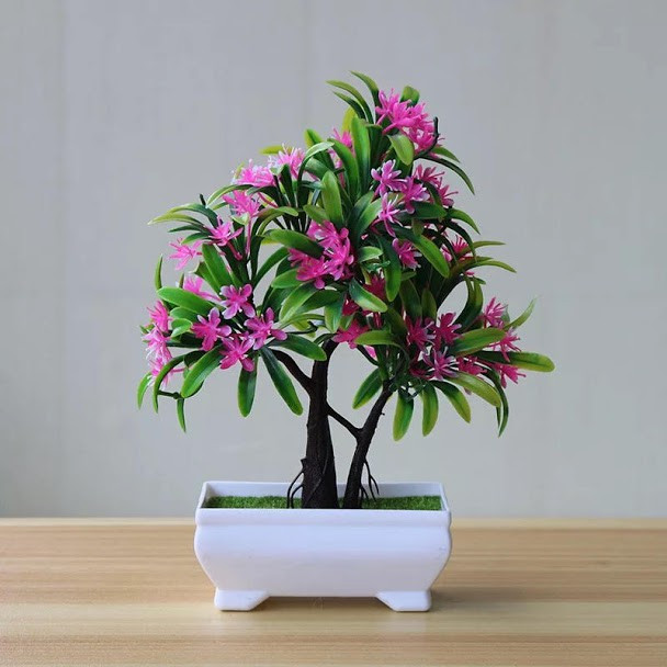 Jual Bunga Bonsai Bulat Kab Tangerang Bunga Hias Official Jual Bunga Bonsai Bulat Kab Tangerang Bunga Hias Official