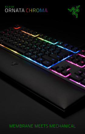 Toko Razer Indonesia - Cek Harga & Spesifikasi Razer Online