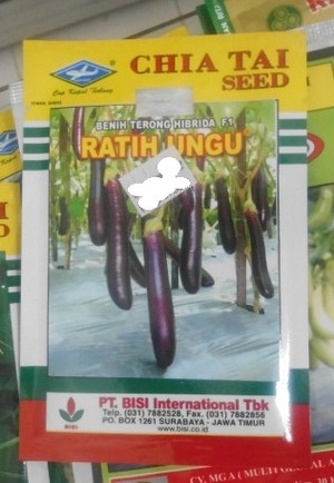 jual benih terong ungu f1 ratih ungu nasa store jual benih terong ungu f1 ratih ungu nasa store
