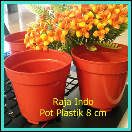 jual pot bibit 8cm plastik pot es krim 8 cm jual pot bibit 8cm plastik pot es krim 8 cm
