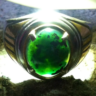 jual bacan doko gulau kedai bacan indonesia jual bacan doko gulau kedai bacan indonesia
