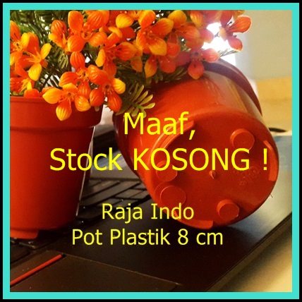 jual pot bibit 8cm plastik pot es krim 8 cm jual pot bibit 8cm plastik pot es krim 8 cm