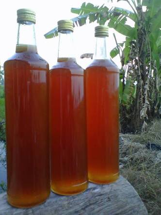 jual madu hutan asli riau besar 1000ml nasa store jual madu hutan asli riau besar 1000ml nasa store
