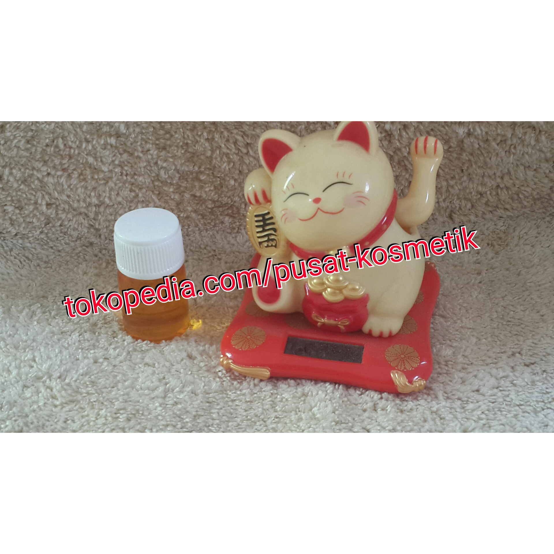 Minyak Bulus Papua Original jual minyak bulus papua original uh pusat kosmetik Minyak Bulus Papua Original jual minyak bulus papua original uh pusat kosmetik