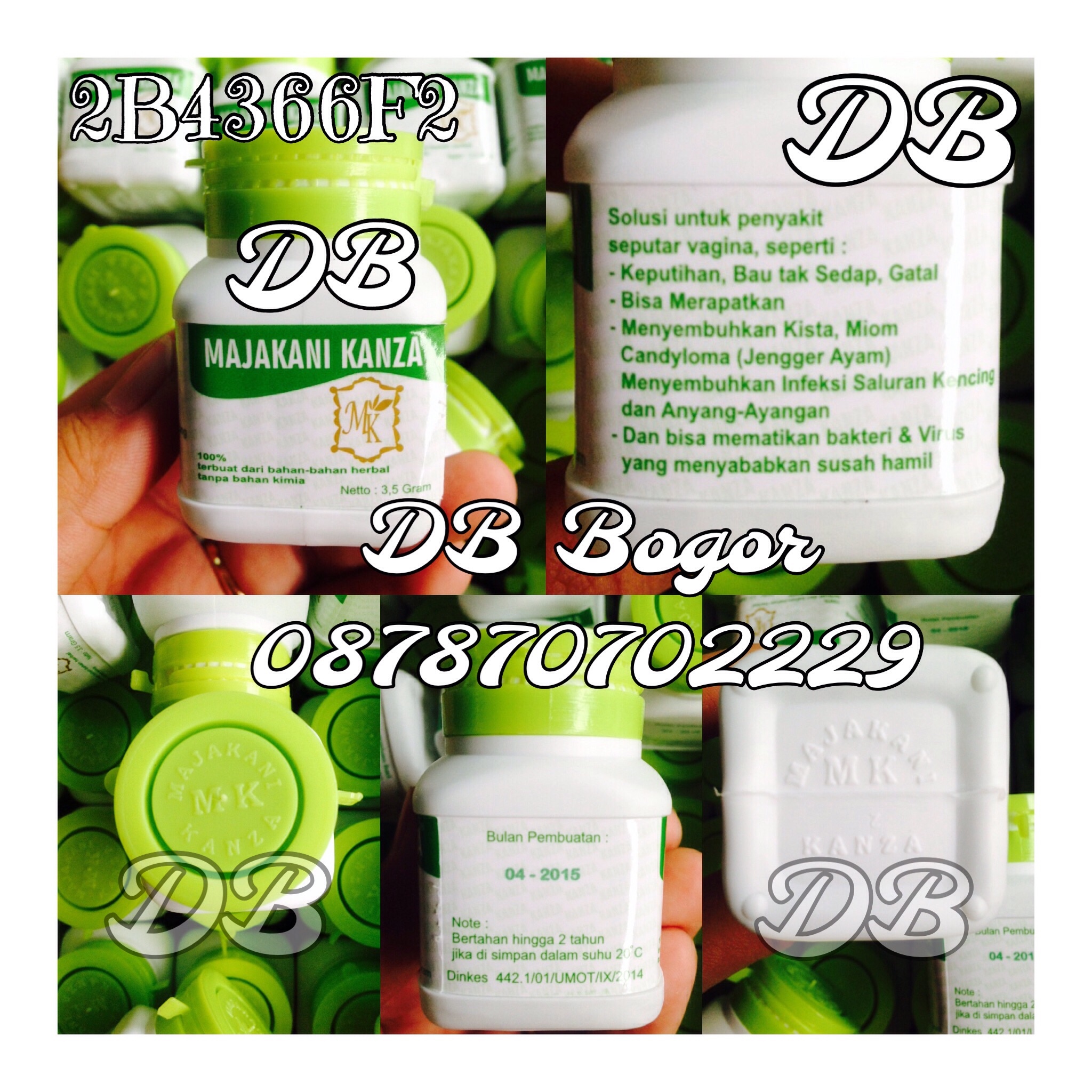 harga manjakani kanza asli manjakani aceh kanza majakani kanza aceh id priceaz harga manjakani kanza asli manjakani aceh kanza majakani kanza aceh id priceaz