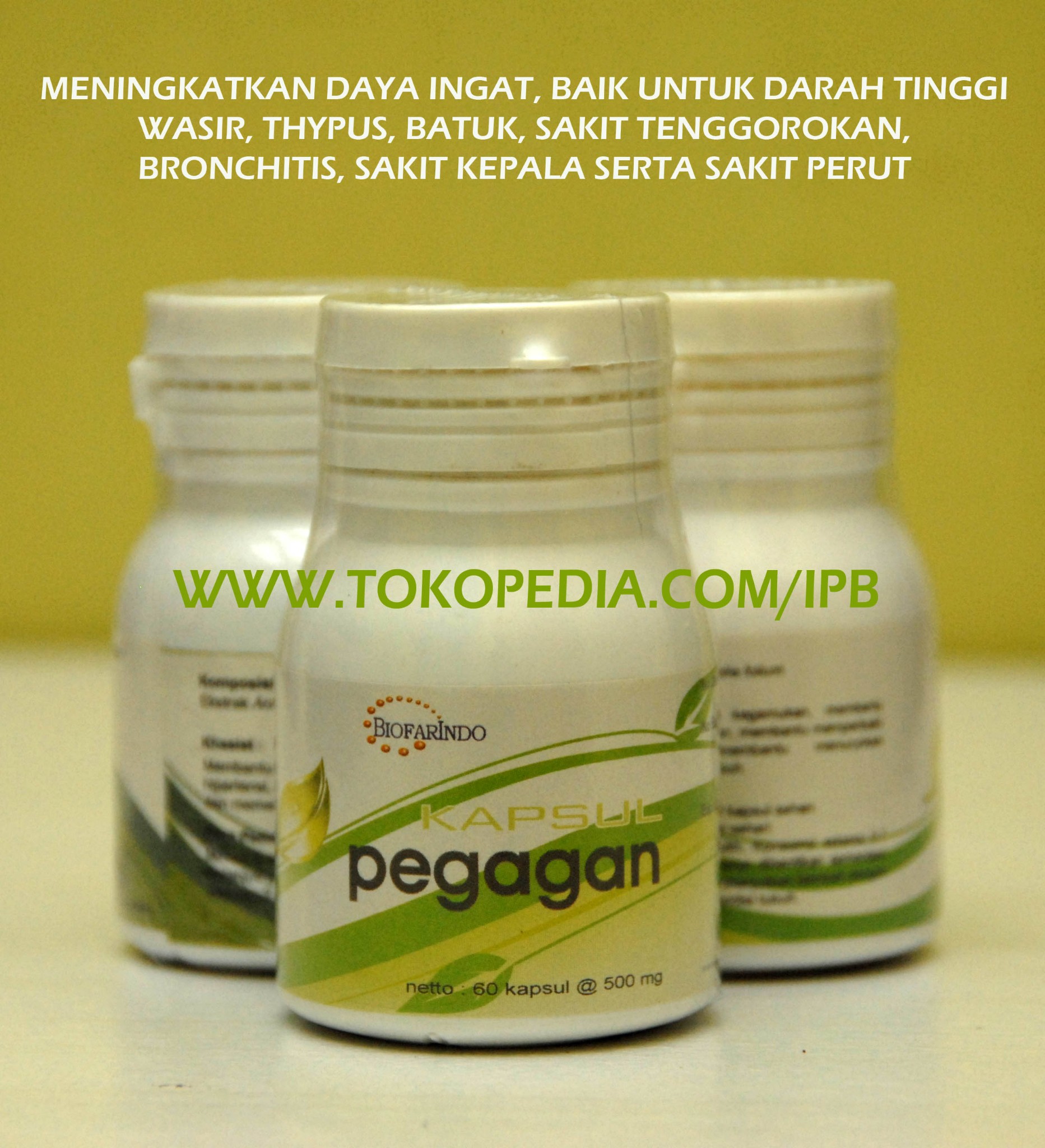 jual kapsul pegagan unt daya ingat wasir tipus herbal jual kapsul pegagan unt daya ingat wasir tipus herbal