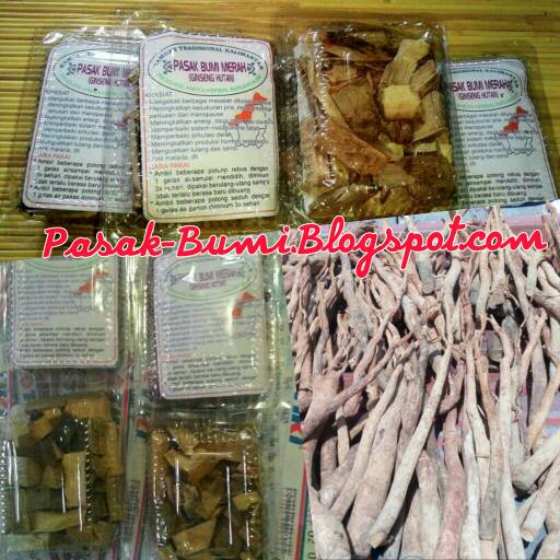 jual pasak bumi merah tongkat ali herbal kalimantan jual pasak bumi merah tongkat ali herbal kalimantan