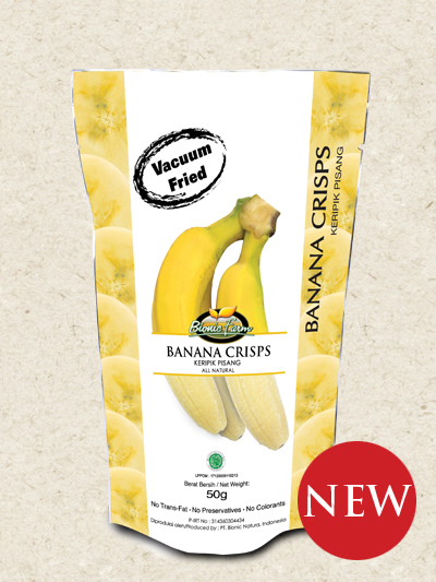 jual fruit chips keripik buah salak pisang suplement jual fruit chips keripik buah salak pisang suplement