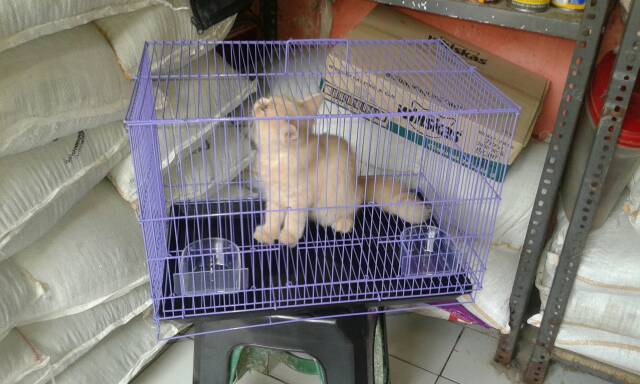 Tatakan Kandang 75 50 By Nd Pets jual kandang kucing burung smart nd pets Tatakan Kandang 75 50 By Nd Pets jual kandang kucing burung smart nd pets