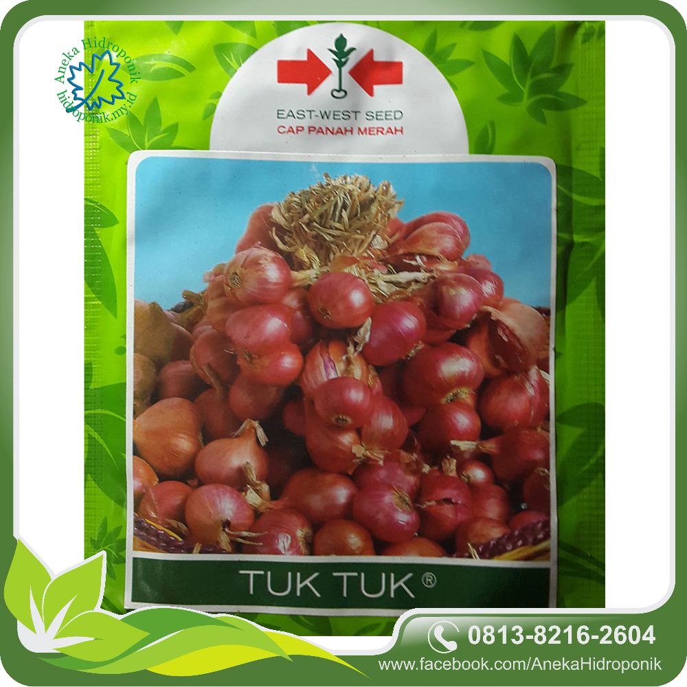 jual benih bawang merah tuk tuk cap panah merah east jual benih bawang merah tuk tuk cap panah merah east