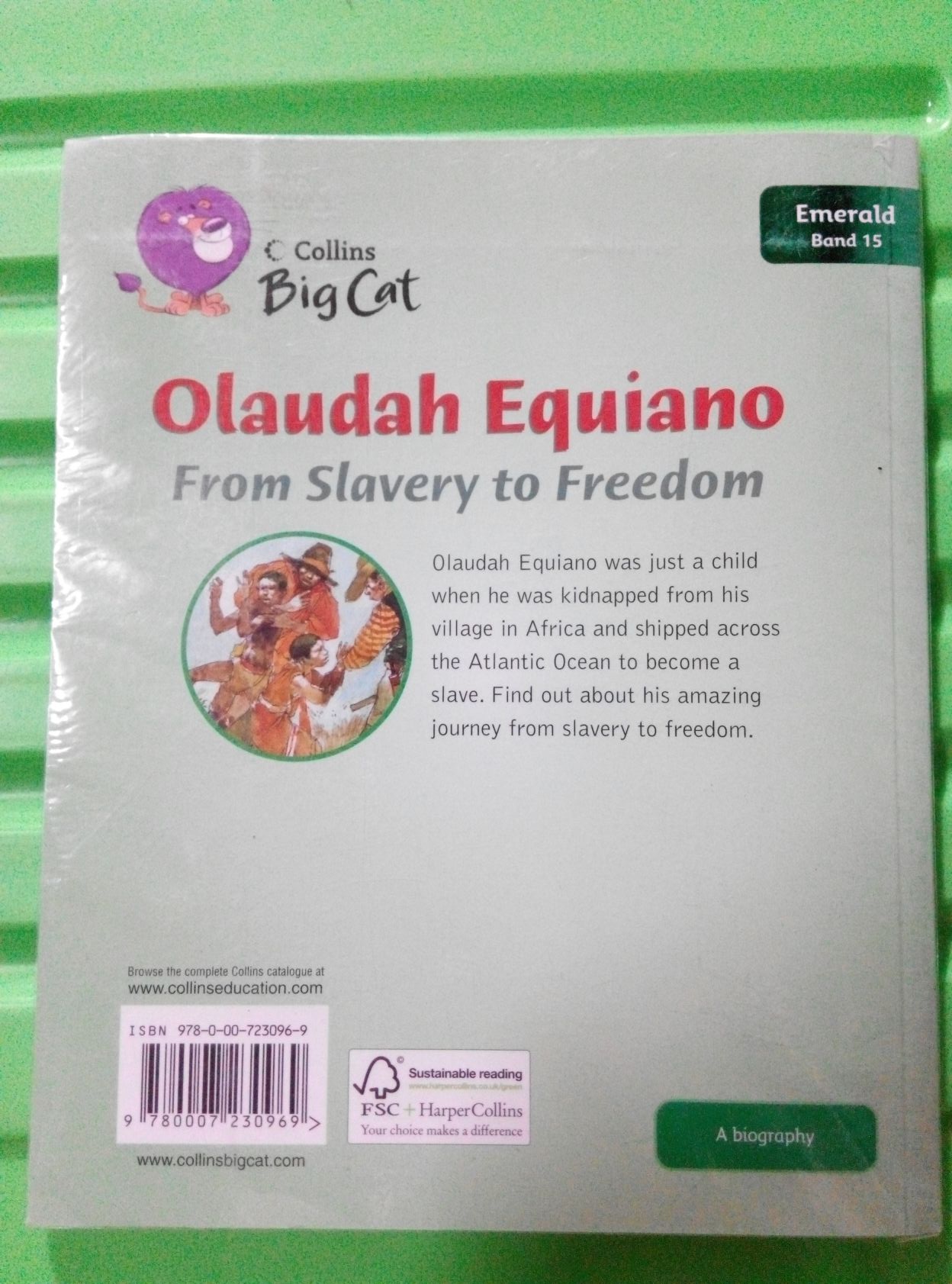 Olaudah equiano essay