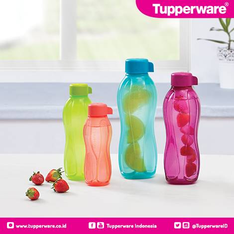 jual tupperware eco botle family 4 poery padma jual tupperware eco botle family 4 poery padma
