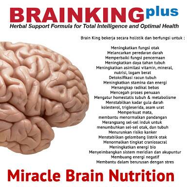 jual brainking plus nutrisi otak bigking original jual brainking plus nutrisi otak bigking original