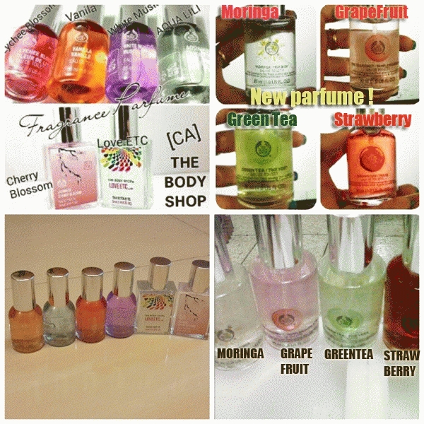 harga parfum the shop ori riject white gardenia 50ml harga parfum the shop ori riject white gardenia 50ml