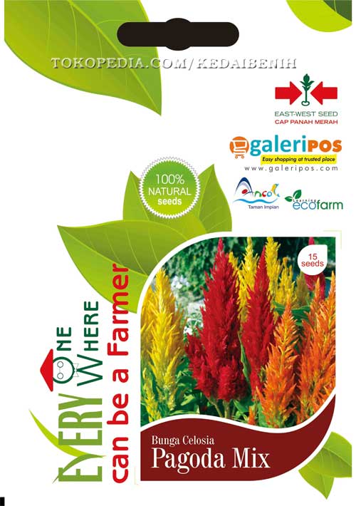 jual 1 pak benih bunga celosia quot pagoda mix quot 15 biji jual 1 pak benih bunga celosia quot pagoda mix quot 15 biji